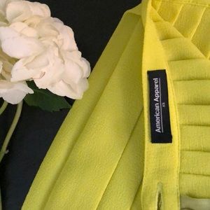 American Apparel Pleated Skirt